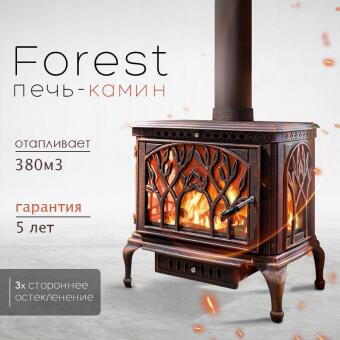 Чугунная печь Forest Bronze в Москве, Екатеринбурге, Краснодаре, Нижнем Новгороде